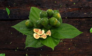 betel leaf